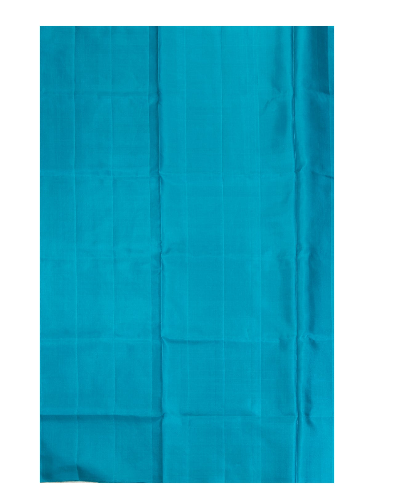 Soft Green Kancheepuram Saree - swayamvara silks